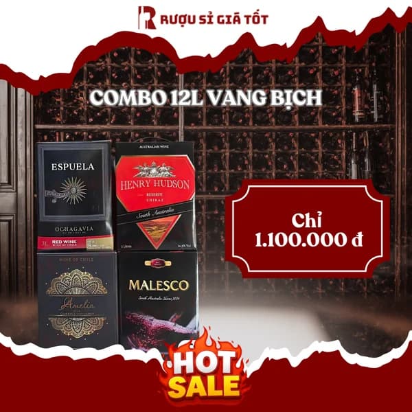 Combo vang bịch 12 lít