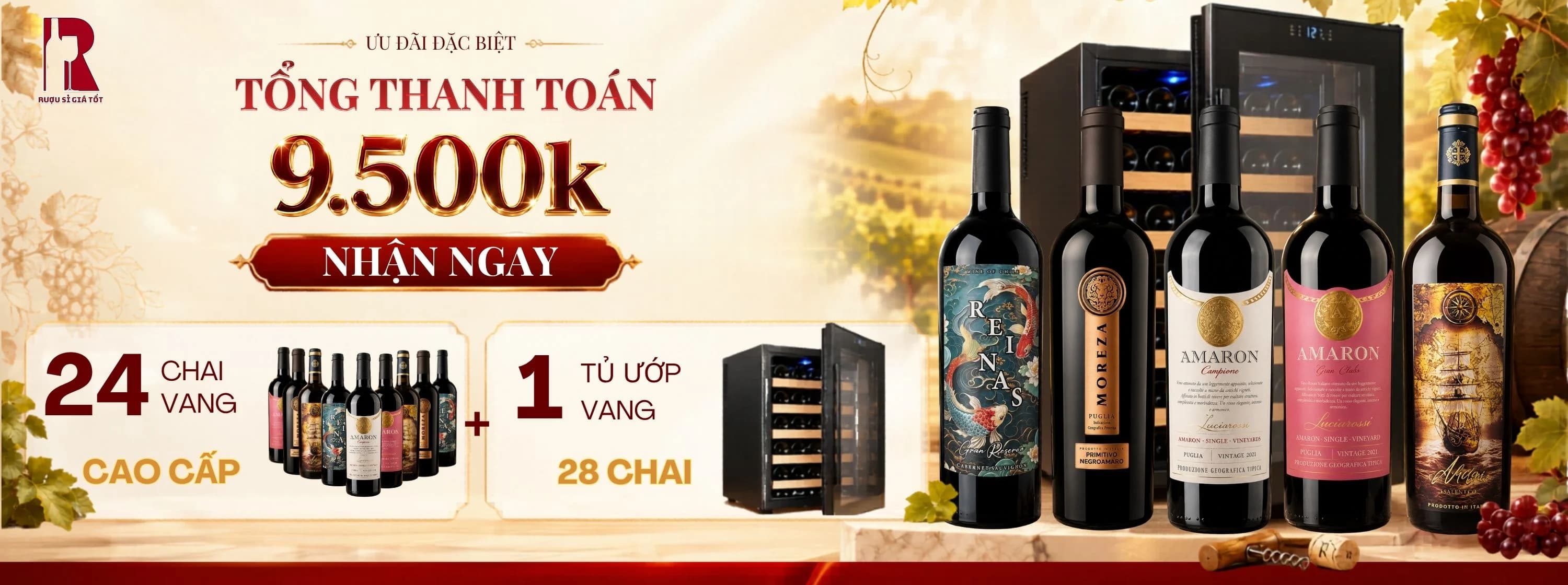 Ưu đãi combo 24 chai vang